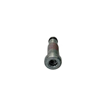 Load image into Gallery viewer, BBS RSII Valve Stem - Titanium w/out Cap (Sold Individually)