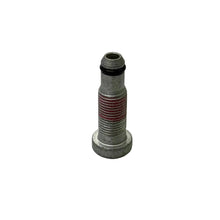 Load image into Gallery viewer, BBS RSII Valve Stem - Titanium w/out Cap (Sold Individually)